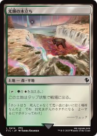 光輝の木立ち/Radiant Grove 【日本語版】 [FIC-土地C]