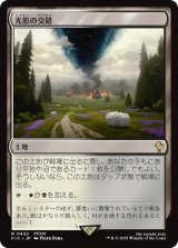 光影の交錯/Shineshadow Snarl 【日本語版】 [FIC-土地R]