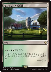 サングラスの大草原/Sungrass Prairie 【日本語版】 [FIC-土地R]