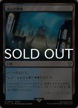 沈んだ廃墟/Sunken Ruins 【日本語版】 [FIC-土地R]