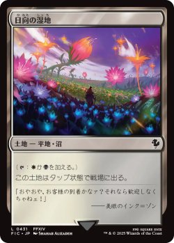 画像1: 日向の湿地/Sunlit Marsh 【日本語版】 [FIC-土地C]