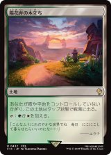 陽花弁の木立ち/Sunpetal Grove 【日本語版】 [FIC-土地R]