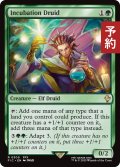 培養ドルイド/Incubation Druid 【英語版】 [FIC-緑R] (予約R)