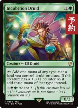 培養ドルイド/Incubation Druid 【英語版】 [FIC-緑R] (予約R)