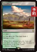 低木林地/Brushland 【英語版】 [FIC-土地R] (予約R)