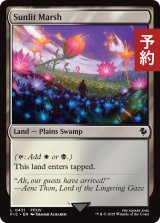 日向の湿地/Sunlit Marsh 【英語版】 [FIC-土地C] (予約R)