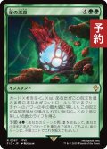 星の深淵/Lifestream's Blessing 【日本語版】 [FIC-緑R] (予約R)