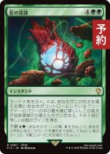 星の深淵/Lifestream's Blessing 【日本語版】 [FIC-緑R] (予約R)