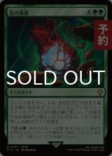 星の深淵/Lifestream's Blessing 【日本語版】 [FIC-緑R] (予約S)