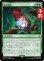 画像1: 星の深淵/Lifestream's Blessing 【日本語版】 [FIC-緑R] (予約R) (1)