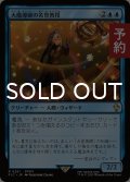 大魔導師の名誉教授/Archmage Emeritus 【日本語版】 [FIC-青R] (予約R)