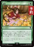 耕作/Cultivate 【日本語版】 [FIC-緑C] (予約R)