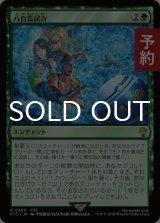 八百長試合/Fight Rigging 【日本語版】 [FIC-緑R] (予約R)