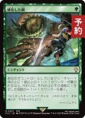 硬化した鱗/Hardened Scales 【日本語版】 [FIC-緑R] (予約R)