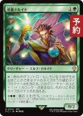 培養ドルイド/Incubation Druid 【日本語版】 [FIC-緑R] (予約R)