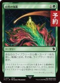 自然の知識/Nature's Lore 【日本語版】 [FIC-緑C] (予約R)
