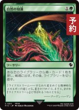 自然の知識/Nature's Lore 【日本語版】 [FIC-緑C] (予約R)