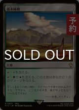 低木林地/Brushland 【日本語版】 [FIC-土地R] (予約R)