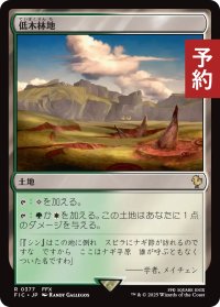 低木林地/Brushland 【日本語版】 [FIC-土地R] (予約R)