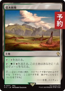 画像1: 低木林地/Brushland 【日本語版】 [FIC-土地R] (予約R)