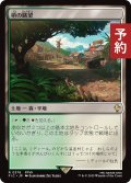 梢の眺望/Canopy Vista 【日本語版】 [FIC-土地R] (予約R)