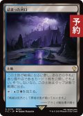 詰まった河口/Choked Estuary 【日本語版】 [FIC-土地R] (予約R)