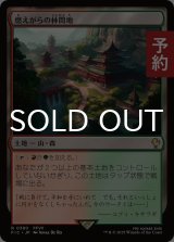 燃えがらの林間地/Cinder Glade 【日本語版】 [FIC-土地R] (予約R)