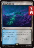 水没した地下墓地/Drowned Catacomb 【日本語版】 [FIC-土地R] (予約R)