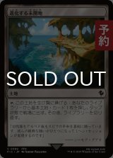進化する未開地/Evolving Wilds 【日本語版】 [FIC-土地C] (予約R)