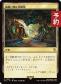 風変わりな果樹園/Exotic Orchard 【日本語版】 [FIC-土地R] (予約R)