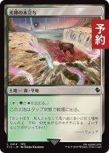 光輝の木立ち/Radiant Grove 【日本語版】 [FIC-土地C] (予約R)