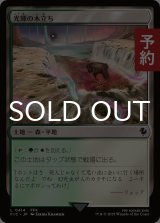 光輝の木立ち/Radiant Grove 【日本語版】 [FIC-土地C] (予約R)