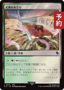 画像1: 光輝の木立ち/Radiant Grove 【日本語版】 [FIC-土地C] (予約R)