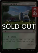 サングラスの大草原/Sungrass Prairie 【日本語版】 [FIC-土地R] (予約R)