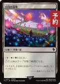 日向の湿地/Sunlit Marsh 【日本語版】 [FIC-土地C] (予約R)