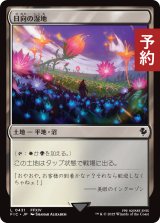 日向の湿地/Sunlit Marsh 【日本語版】 [FIC-土地C] (予約R)