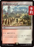 陽に焼かれたディバイド/Sunscorched Divide 【日本語版】 [FIC-土地R] (予約R)