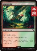 樹木茂る尾根/Wooded Ridgeline 【日本語版】 [FIC-土地C] (予約R)