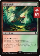 樹木茂る尾根/Wooded Ridgeline 【日本語版】 [FIC-土地C] (予約R)