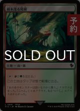 樹木茂る尾根/Wooded Ridgeline 【日本語版】 [FIC-土地C] (予約R)