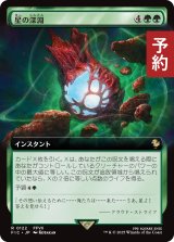 星の深淵/Lifestream's Blessing (拡張アート版) 【日本語版】 [FIC-緑R] (予約R)