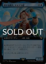 旅する商人、オオアカ屋/O'aka, Traveling Merchant (拡張アート版) 【日本語版】 [FIC-青R]
