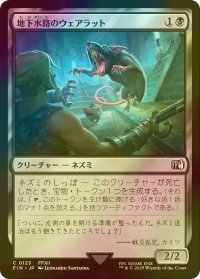 [FOIL] 地下水路のウェアラット/Undercity Dire Rat 【日本語版】 [FIN-黒C]