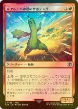 [FOIL] 東アルテパ砂漠のサボテンダー/Sabotender 【日本語版】 [FIN-赤C]