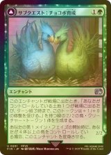 [FOIL] サブクエスト：チョコボ育成/Sidequest: Raise a Chocobo 【日本語版】 [FIN-緑U]