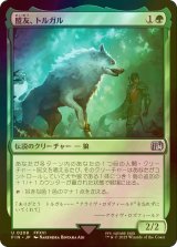 [FOIL] 盟友、トルガル/Torgal, A Fine Hound 【日本語版】 [FIN-緑U]