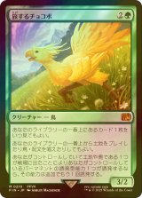 [FOIL] 旅するチョコボ/Traveling Chocobo 【日本語版】 [FIN-緑MR]