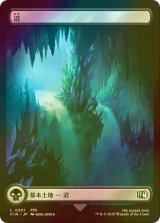 [FOIL] 沼/Swamp No.301 (全面アート版) 【日本語版】 [FIN-土地C]
