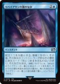 リバイアサンの腹のなか/Swallowed by Leviathan 【日本語版】 [FIN-青U]