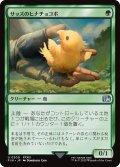 サッズのヒナチョコボ/Sazh's Chocobo 【日本語版】 [FIN-緑U]